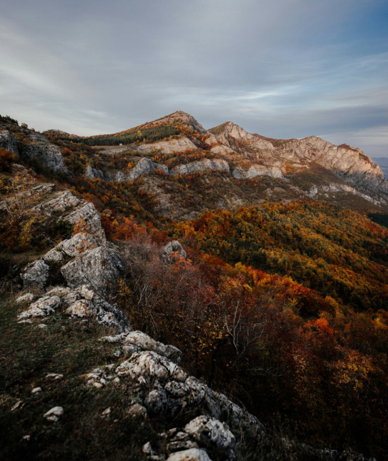 Navigating the Job Market in Bulgaria: A Guide for Foreign Workers